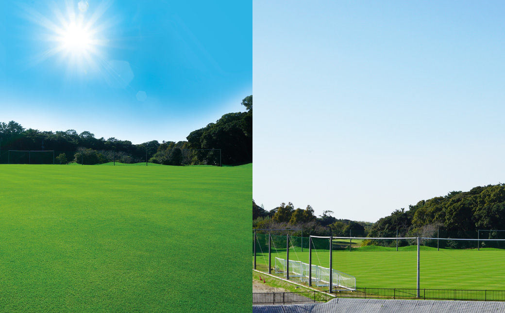 静岡カントリー浜岡コース＆ホテル 【天然芝グランド NEXTAフィールド 1日利用券】 【サッカー】 券 チケット 利用券 サッカー グラウンド 貸切 静岡