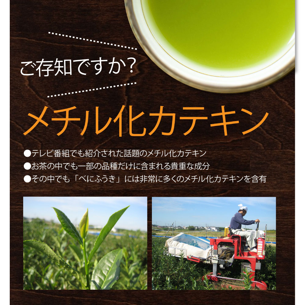 べにふうき茶 ティーバッグ 3g×15包