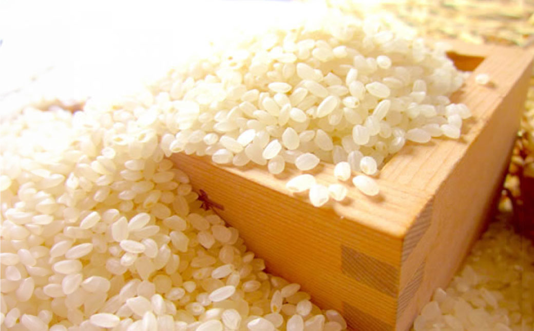 自然栽培米 純米酒 『 穂の穂 』 720ml ×1本 お酒 日本酒 酒 地酒 静岡