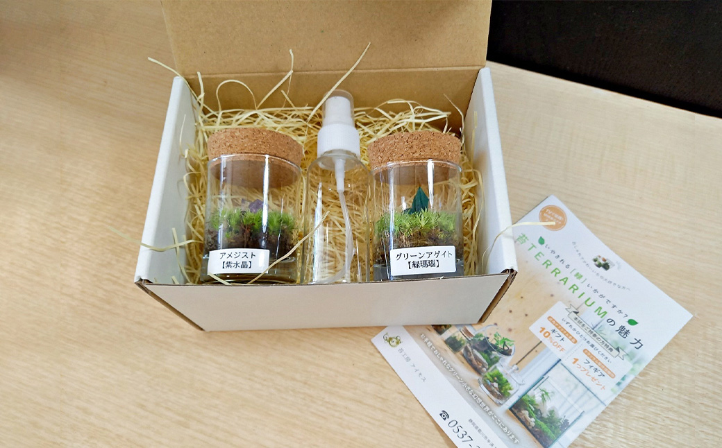 【苔テラリウム】 鉱石入り テラリウム 2つセット 【インテリア】 育て方のしおり 付き 植物 テラリウム 苔テラリウム 苔 こけ コケ セット