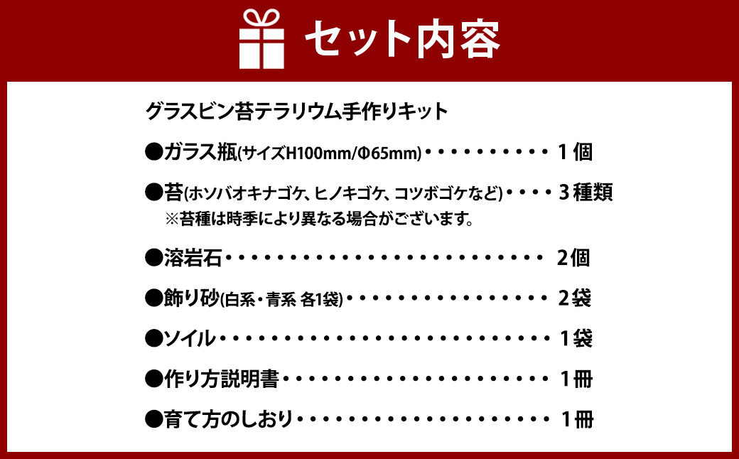 【手づくりキット】 グラスビン 苔テラリウム 【インテリア】 説明書 付き 植物 テラリウム 苔テラリウム 苔 こけ コケ 手作り ハンドメイド セット