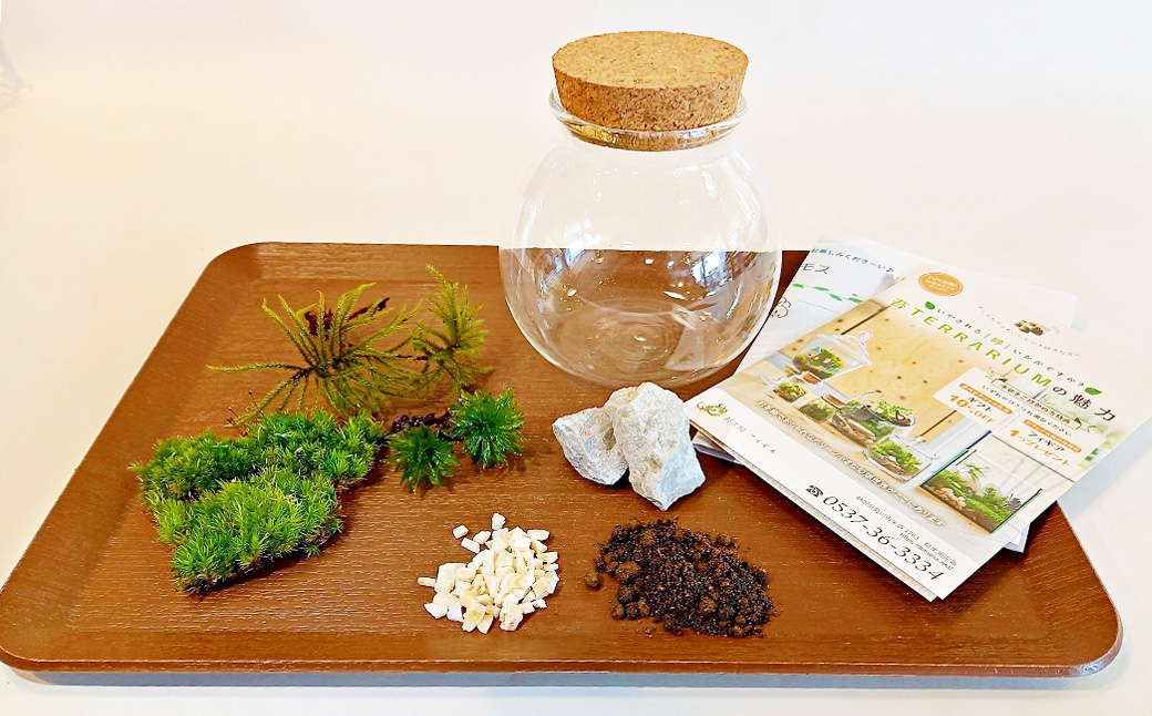 【手づくりキット】 丸型グラス 苔テラリウム 【インテリア】 説明書 付き 植物 テラリウム 苔テラリウム 苔 こけ コケ 手作り ハンドメイド セット