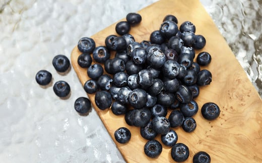 生ブルーベリー 計約900g
