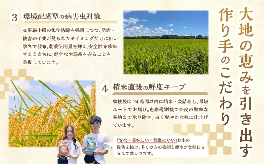 【10営業日発送】【令和7年産】静岡県産コシヒカリ 玄米 5kg （5kg×1袋） 【2026年8月下旬迄順次発送予定】 コシヒカリ こしひかり 米 コメ こめ ご飯 ごはん 菊川市 静岡県