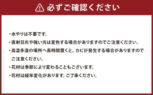 【さとリウム（R）】プリザーブド加工のテラリウム 苔