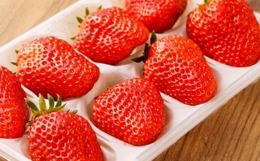 寒蜜いちご 紅ほっぺ 特大粒 4パック