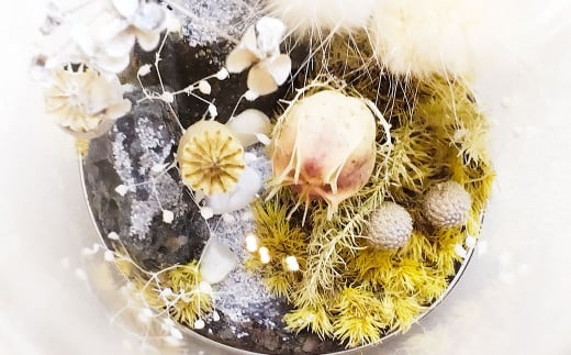 【さとリウム（R）】プリザーブド加工のテラリウム 苔