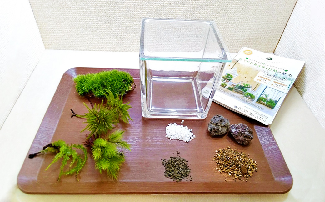 【手づくりキット】 ミニ庭園 苔テラリウム 【インテリア】 説明書 付き 植物 テラリウム 苔テラリウム 苔 こけ コケ 手作り ハンドメイド セット