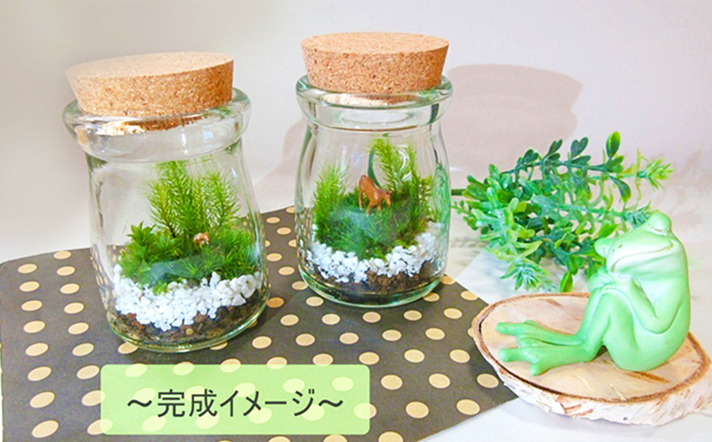 【B：動物フィギュア×1個（全9種よりランダム）】 おうちで作ろう♪ 苔テラリウム 手づくりキット 小瓶 選べるアイテム 【おうち時間】【インテリア】 育て方のしおり 付き 植物 テラリウム 苔テラリウム 苔 こけ コケ 手作り ハンドメイド セット