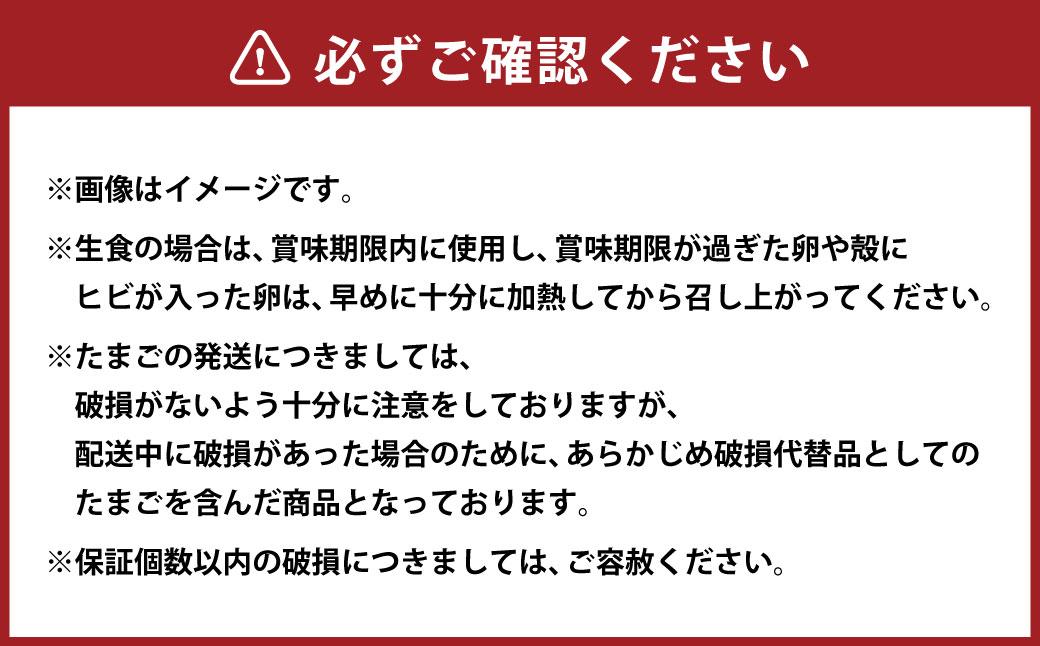 【 3ヶ月 定期便 】「 ホソヤさんちのいきいき卵 」40個割れ補償 5個含む （合計 120個） セット 静岡産まれ 菊川の耀たまご  化粧箱入 たまご 卵 玉子 生卵 静岡 国産