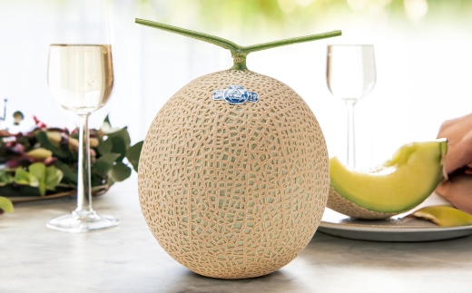 【12ヶ月定期便】アローマメロン