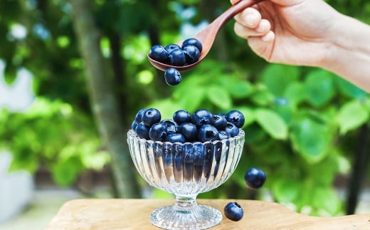 生ブルーベリー 計約400g