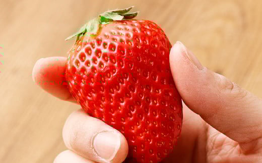 寒蜜いちご 紅ほっぺ 特大粒 4パック