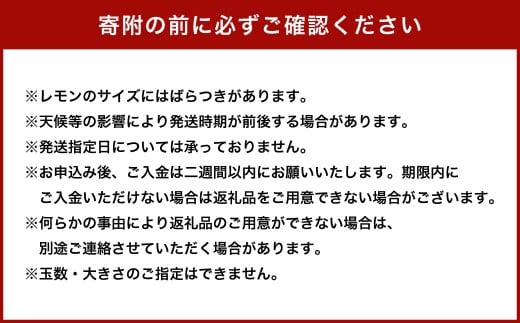 国産グリーンレモン 3kg【2026年10月上旬-11月下旬まで順次発送予定】｜ フルーツ 果物 柑橘 グリーンレモン レモン れもん 檸檬 国産 静岡県 菊川市