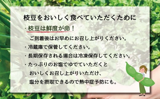 枝豆 湯あがり娘 約1kg