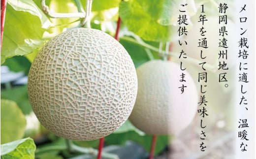 アローマメロン 白等級 1玉