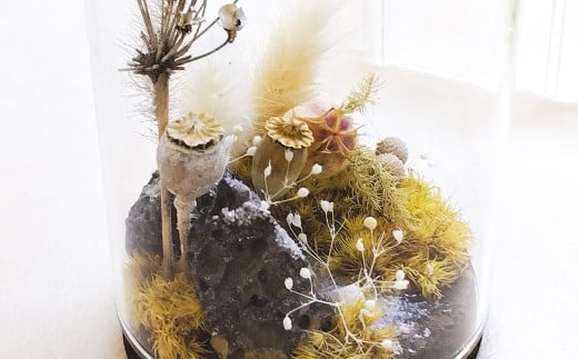 【さとリウム（R）】プリザーブド加工のテラリウム 苔