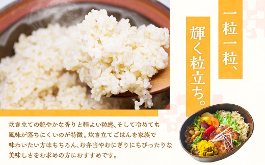 【10営業日発送】【令和7年産】静岡県産コシヒカリ 玄米 10kg （5kg×2袋） 【2026年8月下旬迄順次発送予定】 コシヒカリ こしひかり 米 コメ こめ ご飯 ごはん 菊川市 静岡県