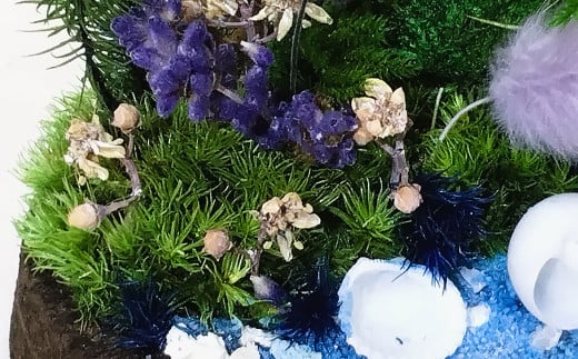 【さとリウム（R）】プリザーブド加工のテラリウム 苔