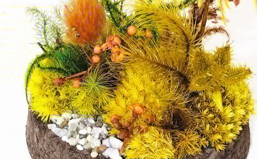 【さとリウム（R）】プリザーブド加工のテラリウム 苔