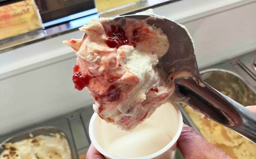 手作りジェラート 8個セット