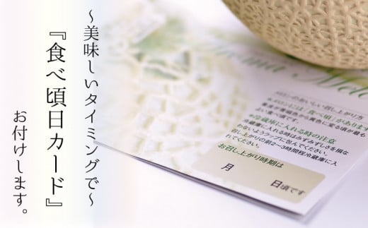 アローマメロン 1玉