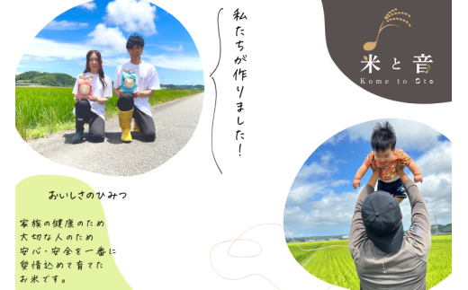 静岡県産コシヒカリ