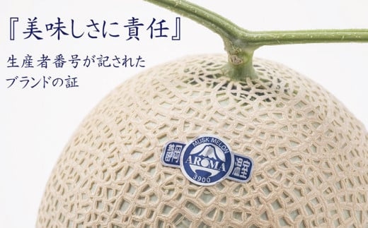 アローマメロン 白等級 2玉