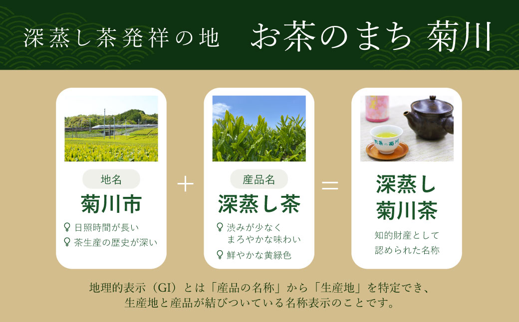 菊川深蒸し茶（5袋 計500g）とフィルターインボトル（1本）セット ｜ お茶 日本茶 煎茶 深蒸し茶 飲み物 静岡県 菊川市 牧之原産 静岡茶