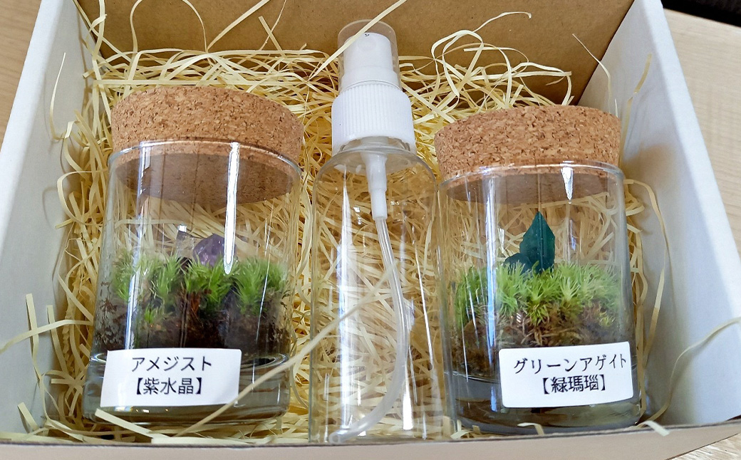 【苔テラリウム】 鉱石入り テラリウム 2つセット 【インテリア】 育て方のしおり 付き 植物 テラリウム 苔テラリウム 苔 こけ コケ セット