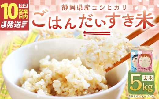 【10営業日発送】【令和7年産】静岡県産コシヒカリ 玄米 5kg （5kg×1袋） 【2026年8月下旬迄順次発送予定】 コシヒカリ こしひかり 米 コメ こめ ご飯 ごはん 菊川市 静岡県