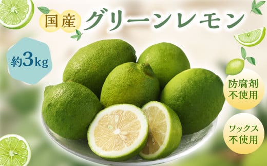 国産グリーンレモン 3kg【2026年10月上旬-11月下旬まで順次発送予定】｜ フルーツ 果物 柑橘 グリーンレモン レモン れもん 檸檬 国産 静岡県 菊川市