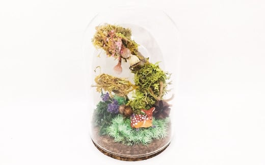 【さとリウム（R）】プリザーブド加工のテラリウム 苔