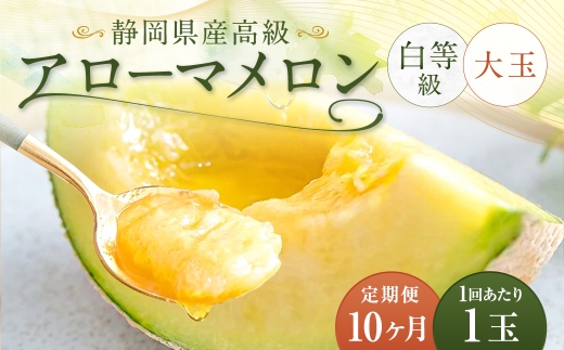 【10ヶ月定期便】アローマメロン