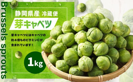 芽キャベツ 1kg ｜ 芽キャベツ メキャベツ キャベツ きゃべつ 野菜