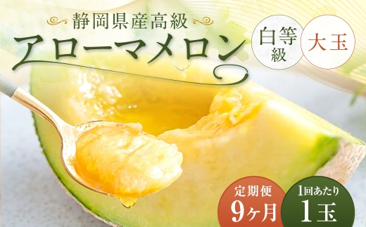 【9ヶ月定期便】 アローマメロン