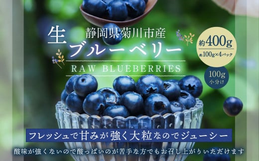生ブルーベリー 計約400g