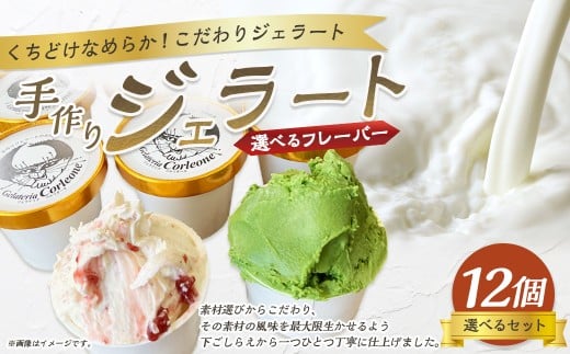 手作りジェラート 12個セット