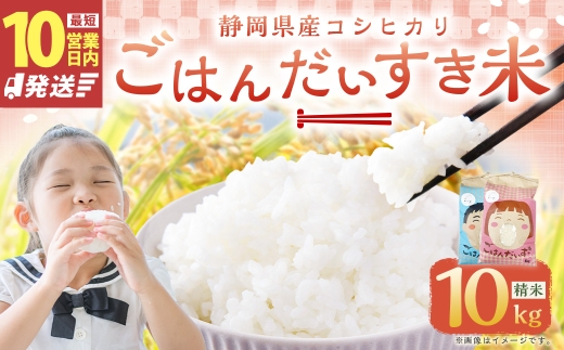 【10営業日発送】【令和7年産】静岡県産コシヒカリ 精米 10kg （5kg×2袋） 【2026年8月下旬迄順次発送予定】 コシヒカリ こしひかり 白米 米 コメ こめ ご飯 ごはん 菊川市 静岡県