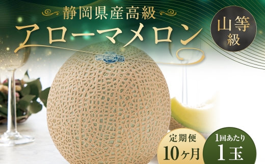 【10ヶ月定期便】アローマメロン