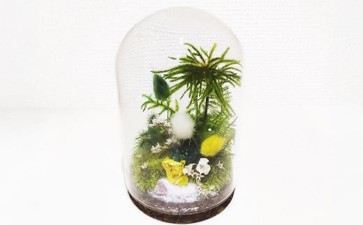【さとリウム（R）】プリザーブド加工のテラリウム 苔