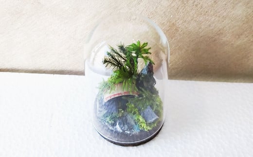 【さとリウム（R）】プリザーブド加工のテラリウム 苔