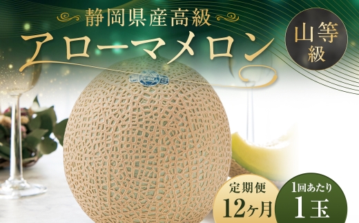 【12ヶ月定期便】アローマメロン