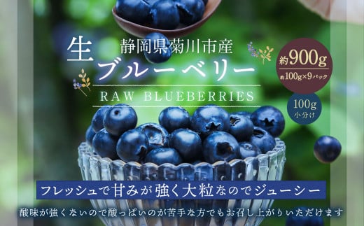 生ブルーベリー 計約900g