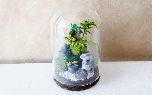 【さとリウム（R）】プリザーブド加工のテラリウム 苔