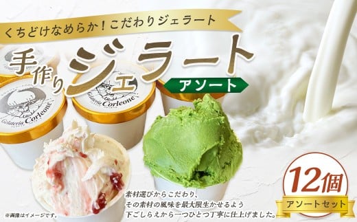 手作りジェラート 12個セット