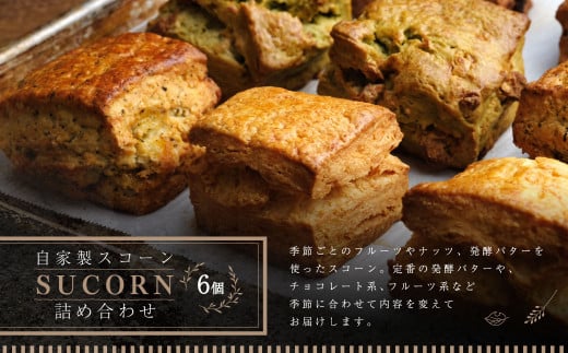 自家製スコーン詰め合わせ 100g×6個入り