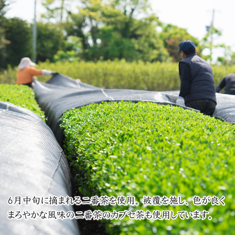 牧之原茶農家の自家用深むし茶200ｇ×5本 摘みたて お茶 茶 茶葉 ちゃば 急須 HOT 暑い 特産品 産地直送 日常 日用品 便利 お手軽 簡単 おすすめ 送料無料 人気 お湯 ふかむし 蒸す 高級 上品 ギフト 熱中症予防 アクティビティ アウトドア レジャー 運動 スポーツ 体育 家族 家庭 普段 日常使い おいしい 本格茶 お手軽 簡単 美味しい お茶のミズイ園 静岡県 牧之原市