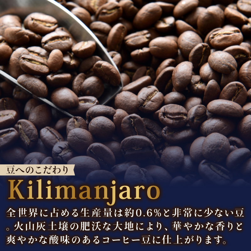 ＜選べる内容量＞ TULLY'S COFFEE（タリーズコーヒー） BARISTA'S BLACK キリマンジャロ 285ml ×24本　缶コーヒー ブラックコーヒー ブラック コーヒー こーひー 珈琲 coffee 珈琲飲料 コーヒー飲料 飲料 ドリンク 飲み物 箱 ケース ストック カフェイン 日常 休憩 保存 備蓄 まとめ買い 箱買い キリマンジャロコーヒー おすすめ いとうえん 伊藤園 牧之原市 静岡県 24本