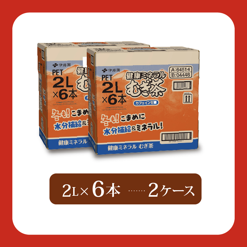 ＜選べる内容量＞ 健康ミネラル むぎ茶 計12本 2L × 6 本 2ケース お届け お茶 ペットボトル 飲料 ペットボトル飲料 おちゃ 麦茶飲料 お茶飲料 飲み物 茶 アウトドア 日常 常備 備蓄 防災 防災備蓄 防災用品 災害 生活必需品 消耗品 非常用 災害対策 保存 保管 ストック 日用品 水分補給 箱 箱買い まとめ買い おすすめ 静岡茶 飲料水 美味しい お?いお茶 伊藤園 牧之原市 静岡県 12本